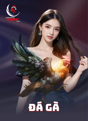 Tam Cúc Miền Bắc